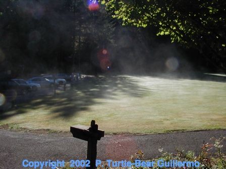 Full Size Image = 192 K