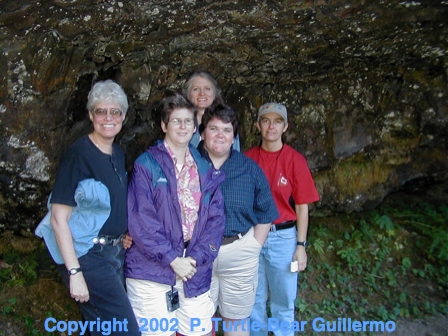 Full Size Image = 205 K