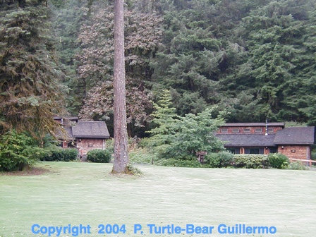 Full Size Image = 210 K