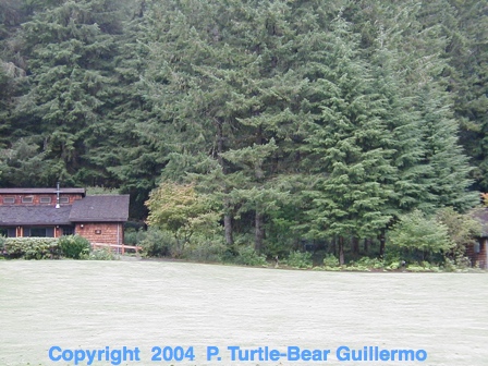Full Size Image = 205 K