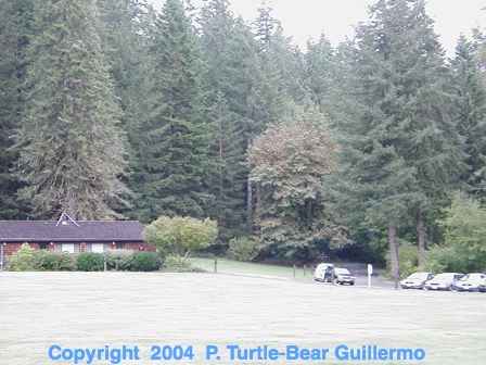 Full Size Image = 204 K