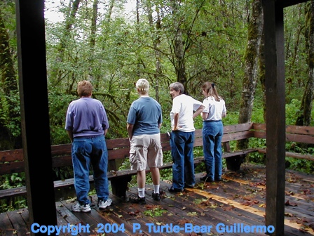 Full Size Image = 211 K