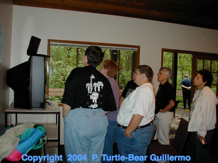 Full Size Image = 176 K