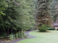 Grounds 1