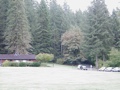 Grounds 5