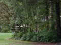 Grounds 8