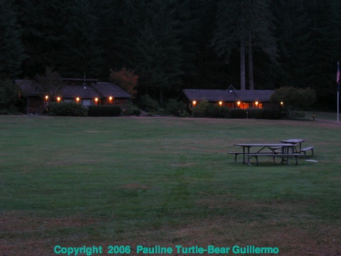 Night Time Cabins