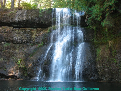 Falls