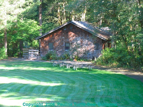 Mowed Lawn