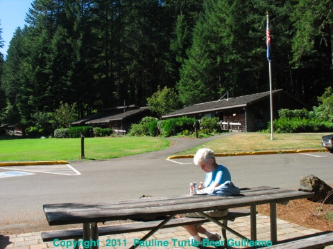 Full Size Image = 803 K