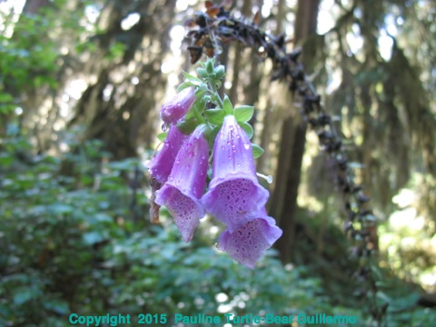 Full Size Image = 670 K