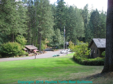 Full Size Image = 1444 K