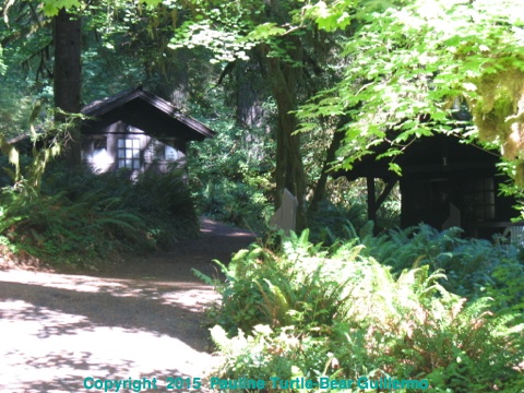 Full Size Image = 1201 K