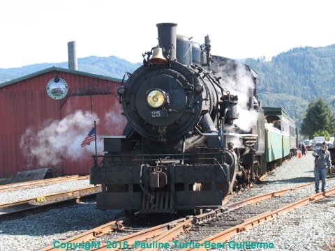 Full Size Image = 973 K