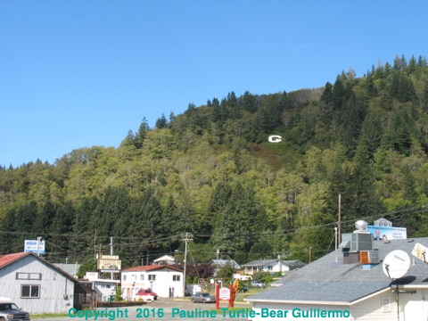 Full Size Image = 1033 K