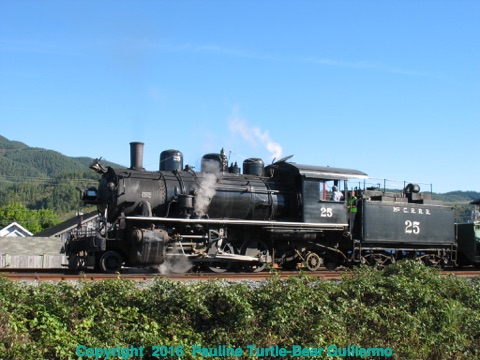 Full Size Image = 1031 K