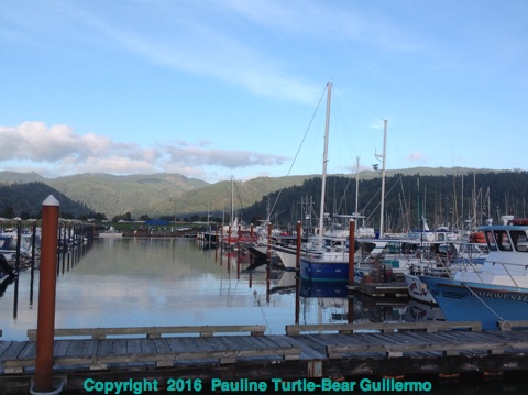 Full Size Image = 1278 K