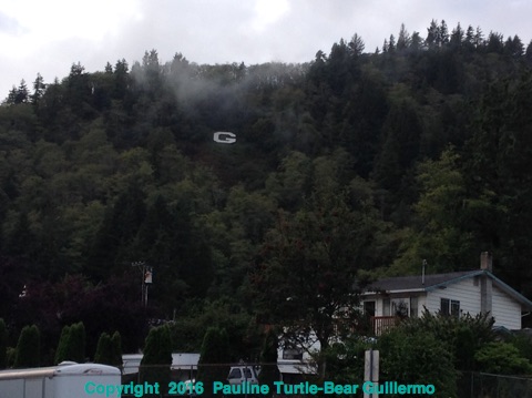 Full Size Image = 857 K