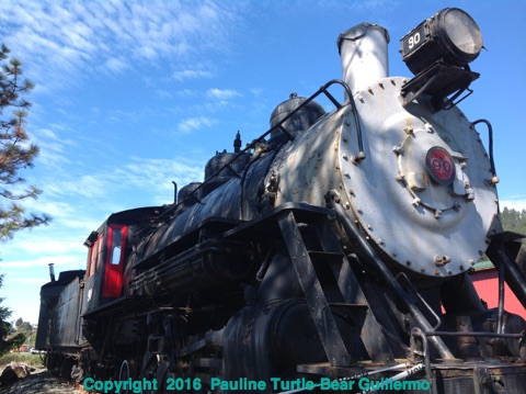 Full Size Image = 1530 K