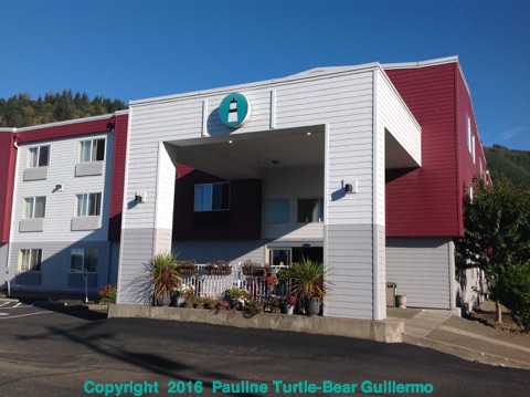 Full Size Image = 1503 K