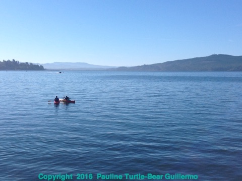 Full Size Image = 1278 K