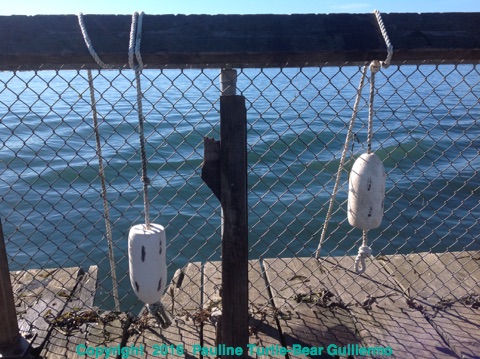 Full Size Image = 2172 K