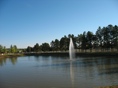 IMG 7855