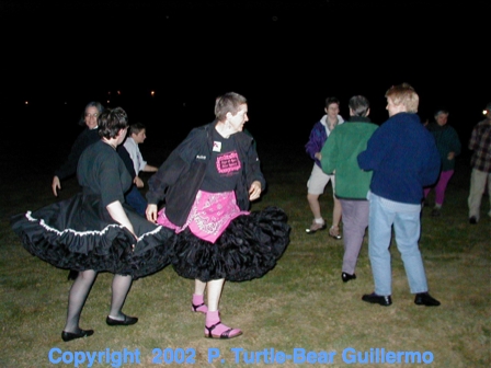 Full Size Image = 193 K