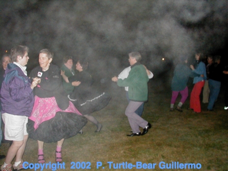 Full Size Image = 208 K