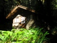 Upper Cabin