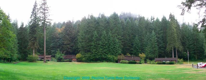 Full Size Image = 1827 K